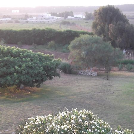 Hotel Dar Al Manar Al-Dżadida Zewnętrze zdjęcie